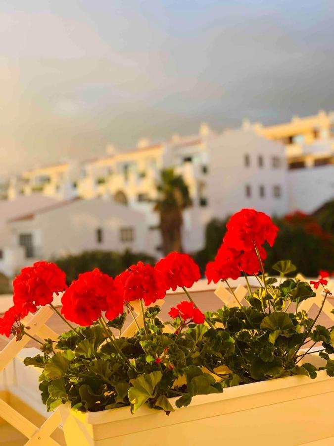 Buenavista Apartment In Windsor Park Costa Adeje  Ngoại thất bức ảnh